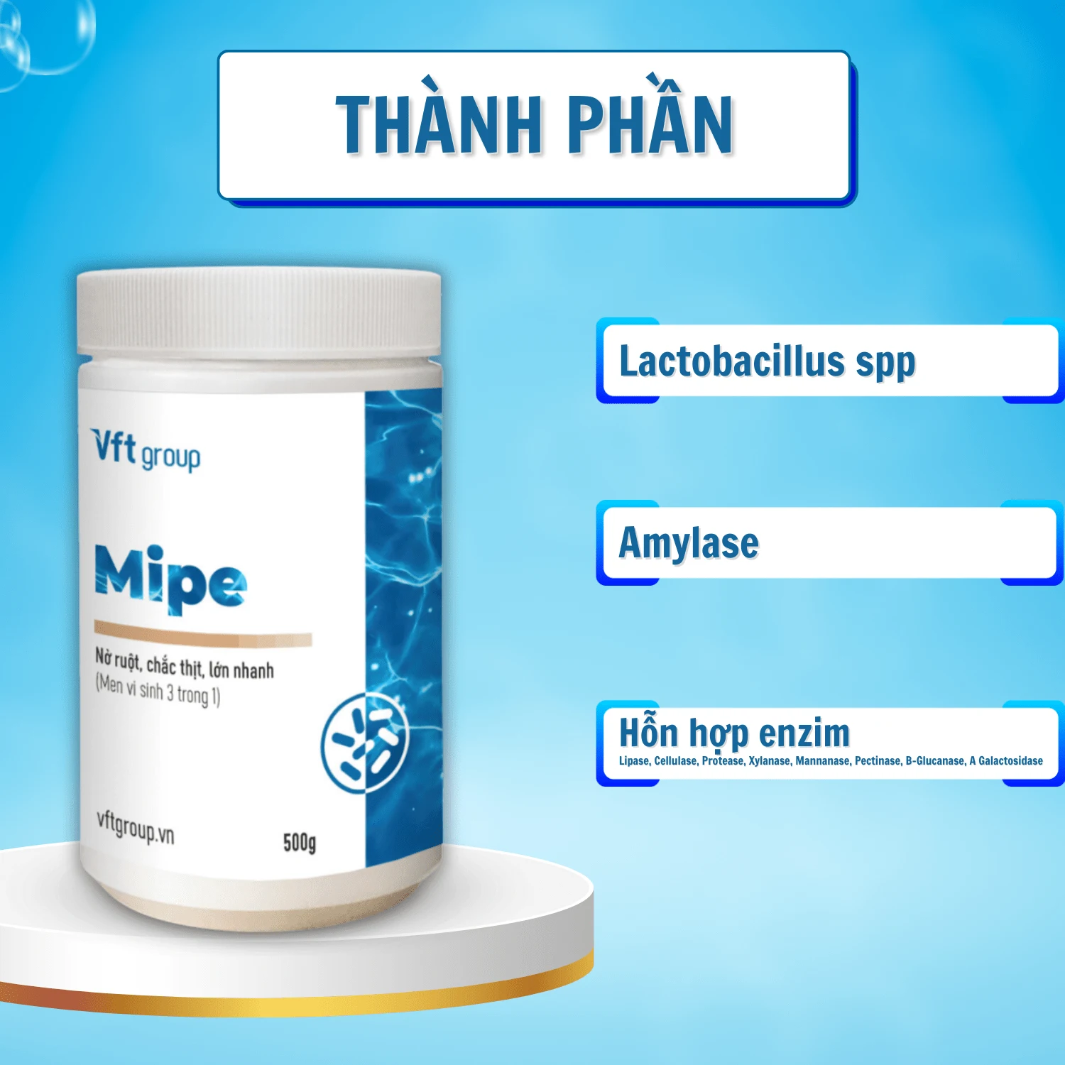 Men tiêu hóa vi sinh dành cho tôm Mipe có chứa nhiều lợi khuẩn kích thích tiêu hóa trong ruột tôm, giúp tôm lớn khỏe