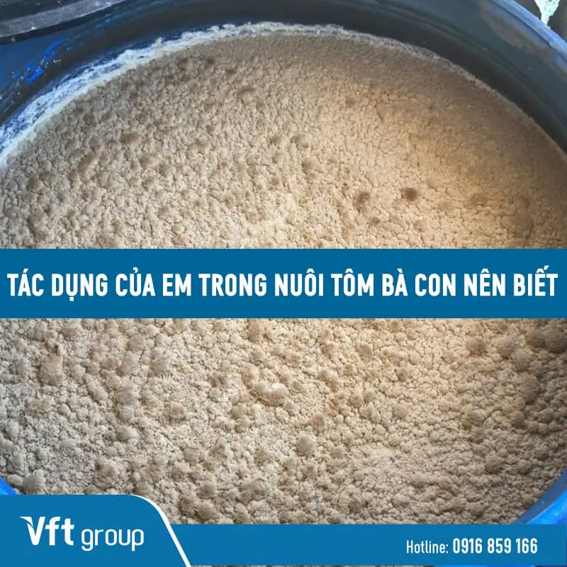 Tìm hiểu tác dụng của em trong nuôi tôm