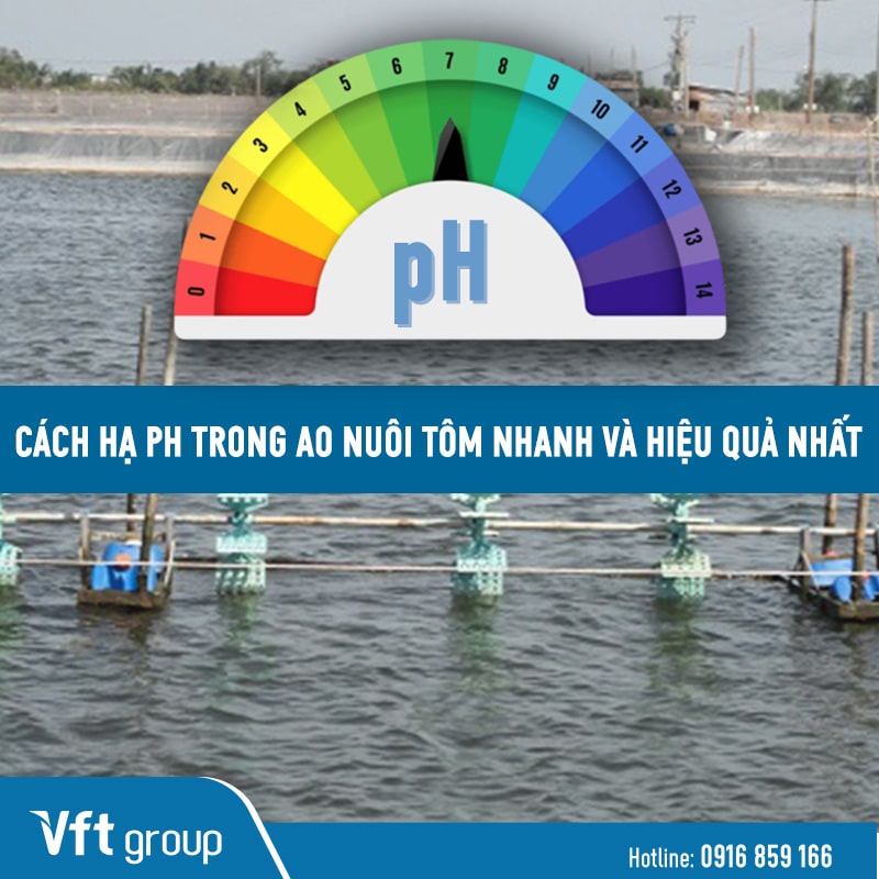 Hướng dẫn cách hạ pH trong ao nuôi tôm